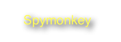 Spymonkey                                                                     